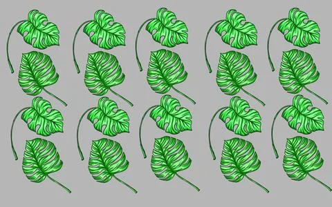 Summer monstera leaves illustration pattern  Stock Illustration
