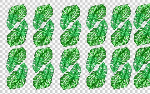 Summer monstera leaves illustration pattern  Stock Illustration