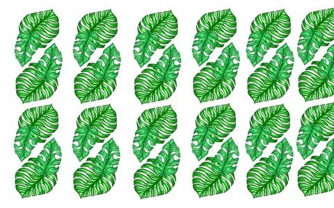 Summer monstera leaves illustration pattern  Stock Illustration