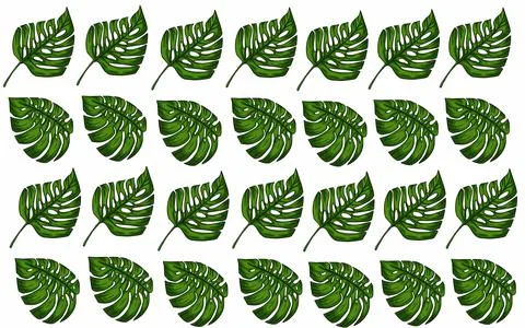 Summer monstera leaves illustration pattern  Illustrazione stock