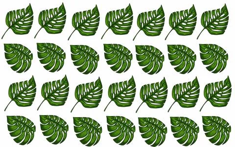 Summer monstera leaves illustration pattern  Stock Illustration
