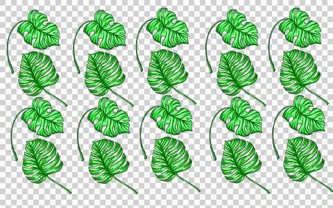 Summer monstera leaves illustration pattern  Stock Illustration