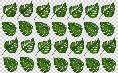 Summer monstera leaves illustration pattern  Stock Illustration