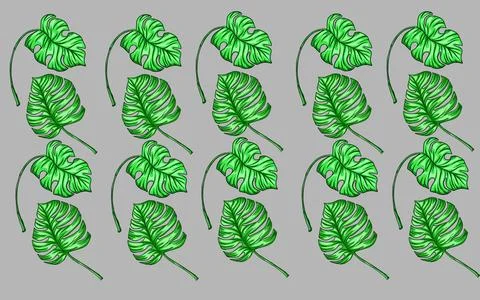 Summer monstera leaves illustration pattern  Stock Illustration
