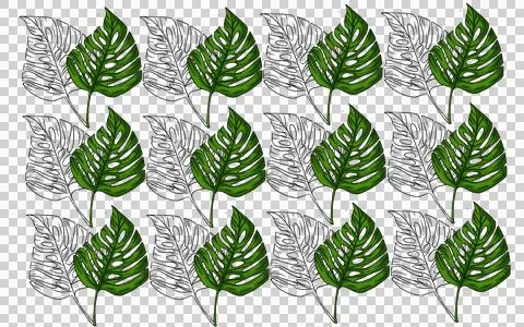 Summer monstera leaves illustration pattern  Stock Illustration