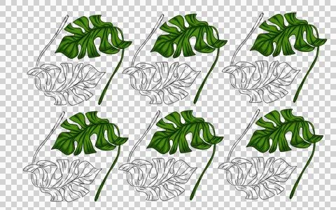 Summer monstera leaves illustration pattern  Stock Illustration