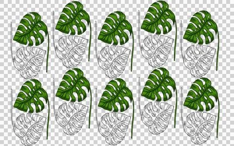 Summer monstera leaves illustration pattern  Stock Illustration