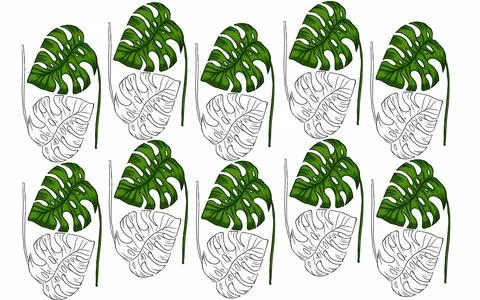 Summer monstera leaves illustration pattern  Stock Illustration