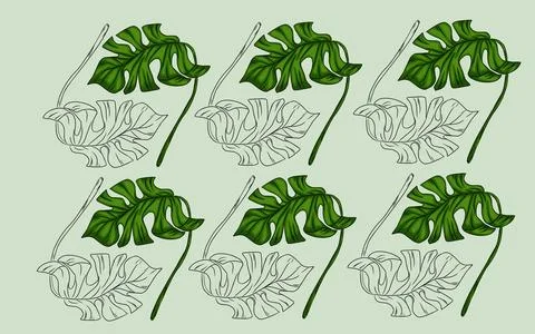 Summer monstera leaves illustration pattern  Stock Illustration