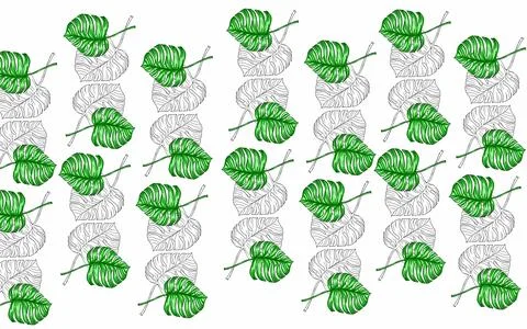 Summer monstera leaves illustration pattern  Stock Illustration
