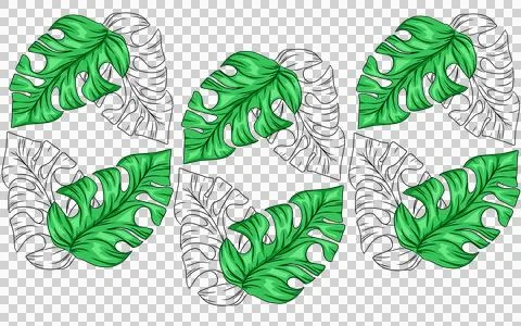 Summer monstera leaves illustration pattern  Stock Illustration
