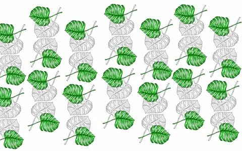 Summer monstera leaves illustration pattern  Stock Illustration