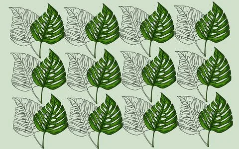 Summer monstera leaves illustration pattern  스톡 사진