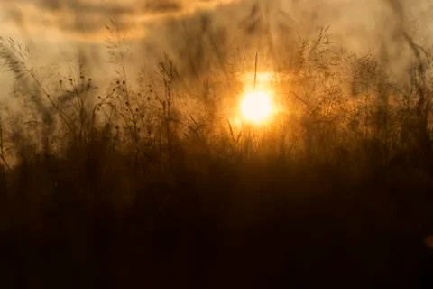 Summer mood Stock Photos