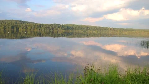 Summer morning Stock Footage 136334578