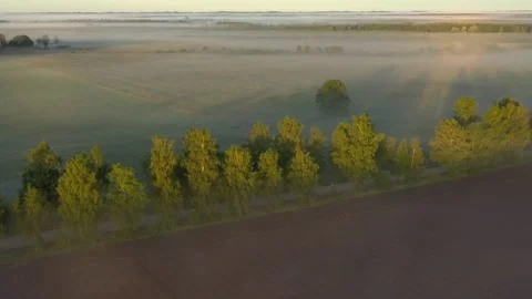 Summer morning Stock Footage 253637431