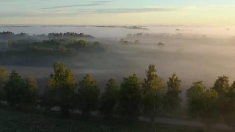 Summer Morning Stock Footage 253639427