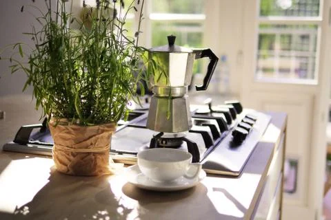 Summer morning in kitchen two Stock Photos