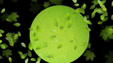 Summer motion design with green leaves and grainy circle on black background Stock Footage 341664215