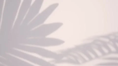 Summer motion graphics Tropical shadow overlay Stock Footage 245710160