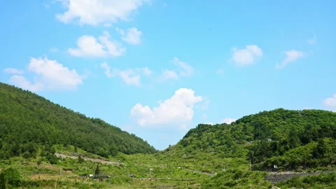 Summer Mountain Forest Time Lapse with Flowing Clouds Over Blue Sky Stock Footage 320003274