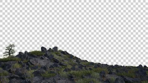Summer mountain glade in the forest with a tree . An isolated object with no bac Stock Photos