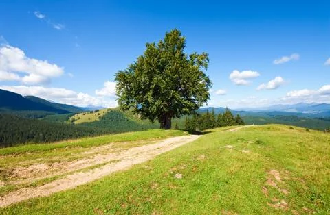 Summer mountain landscape Stock Photos