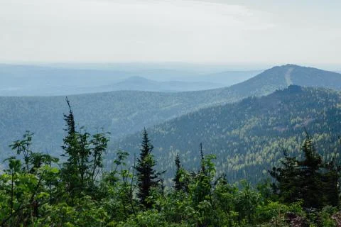 Summer mountain landscape. Stock Photos