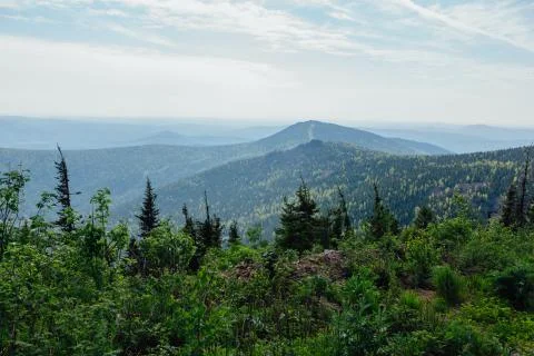Summer mountain landscape. Stock Photos