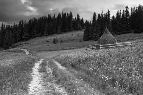 Summer mountain landscape Photos