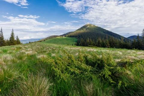 The summer mountain landscape Stock Photos