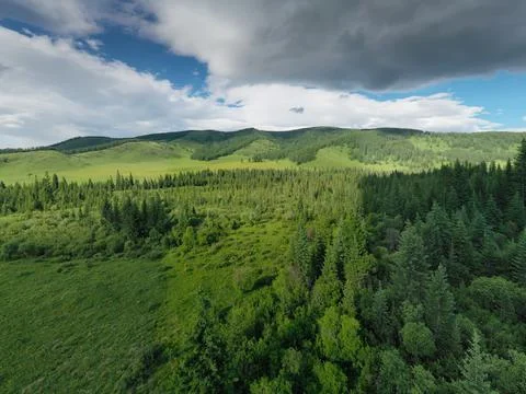 Summer mountain landscape Stock Photos