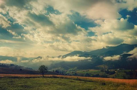 Summer mountain landscape Photos