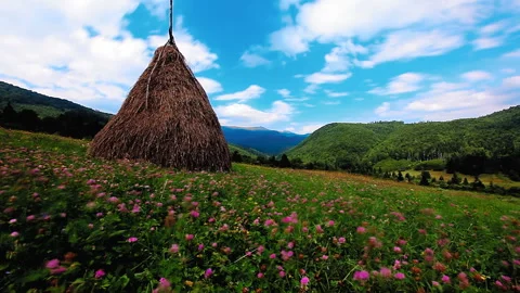 Summer mountain landscape slow motion Stock Footage 137688527