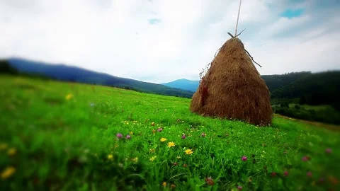 Summer mountain landscape slow motion Stock Footage 221234188
