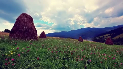 Summer mountain landscape slow motion Stock Footage 233968702