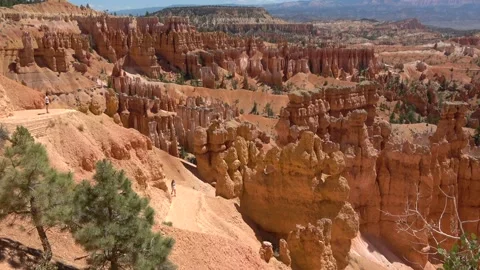 Summer mountain landscape in Utah. Stock Footage 131320497