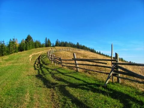 Summer Mountain Path Stock Photos