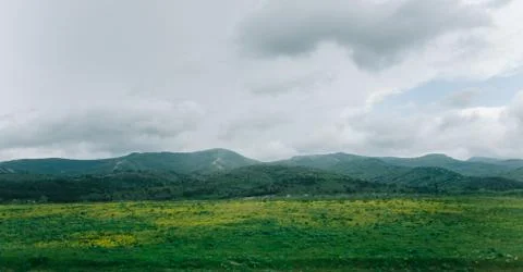 Summer mountain ridge. Stock Photos
