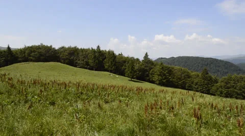 Summer mountain route Stock Footage 25059809