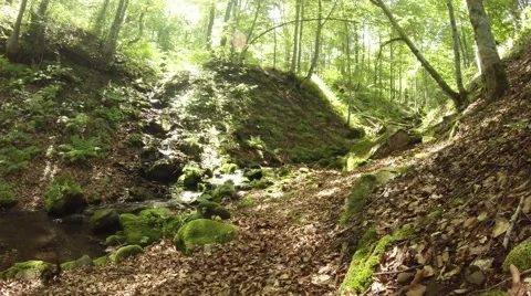 Summer mountain stream bearing river flows over rocks in green moss Stock Footage 40440055