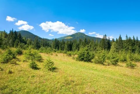 Summer mountain view Stock Photos