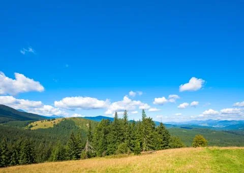 Summer mountain view 스톡 사진