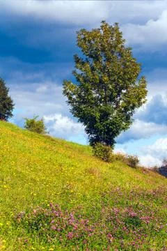 Summer mountain view Stock Photos