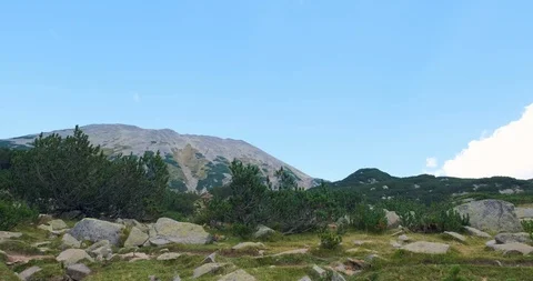 Summer mountains in bulgaria Stock Footage 117622152