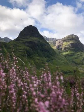 Summer in the mountains of Glencoe Stock Photos