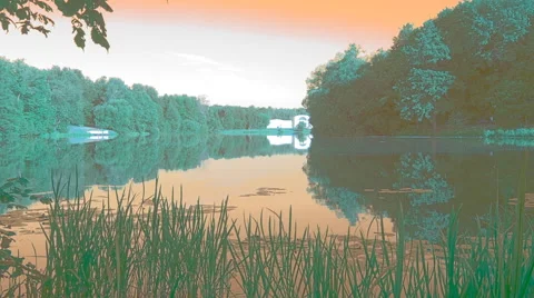 Summer Moving Lanscape IR-version Stock Footage 41498825