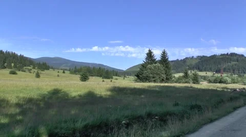 Summer nature 1 Video stock 46283796