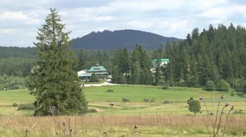 Summer nature 2 Video stock 46286776