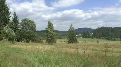 Summer nature 3 Video stock 46287091